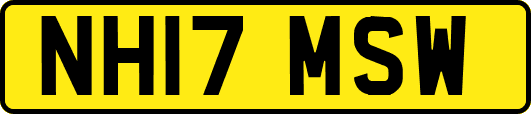 NH17MSW