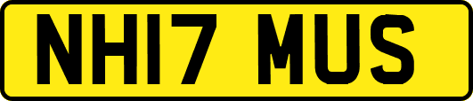 NH17MUS