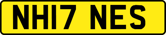 NH17NES