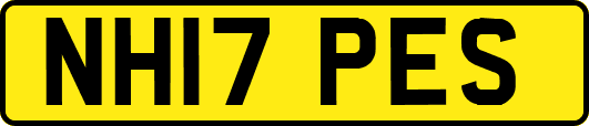 NH17PES