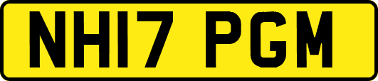 NH17PGM