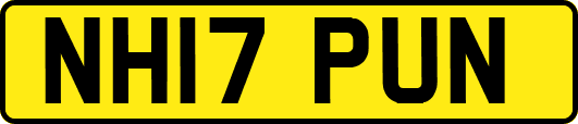 NH17PUN