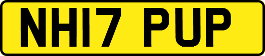 NH17PUP