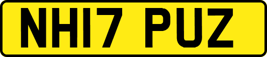 NH17PUZ