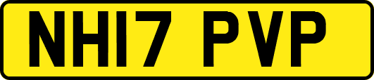 NH17PVP