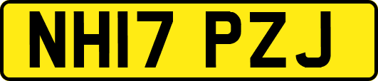 NH17PZJ