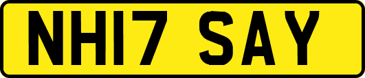 NH17SAY
