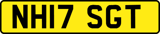 NH17SGT