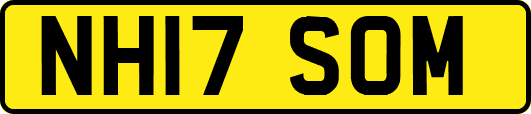 NH17SOM