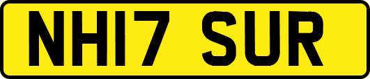 NH17SUR
