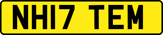 NH17TEM