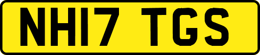 NH17TGS