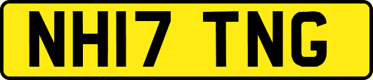 NH17TNG