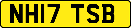 NH17TSB