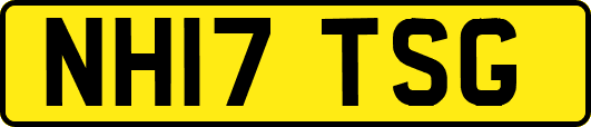 NH17TSG