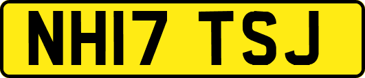 NH17TSJ
