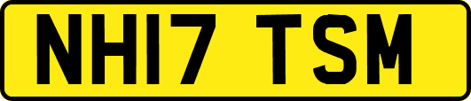 NH17TSM