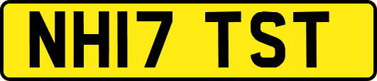NH17TST