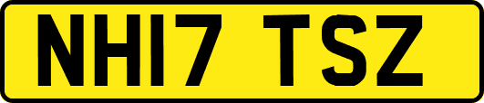 NH17TSZ