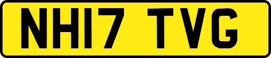 NH17TVG