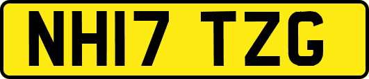 NH17TZG