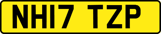 NH17TZP