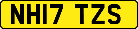 NH17TZS