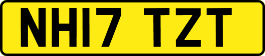 NH17TZT