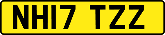 NH17TZZ