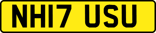 NH17USU