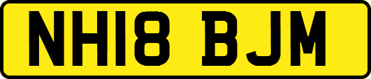 NH18BJM