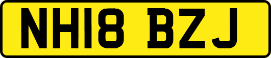 NH18BZJ