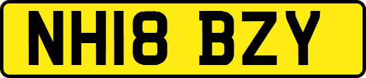 NH18BZY