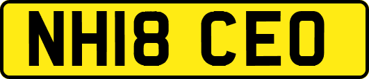 NH18CEO
