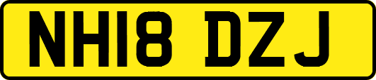 NH18DZJ