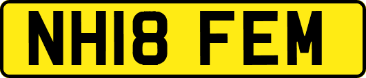 NH18FEM