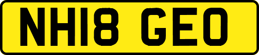 NH18GEO