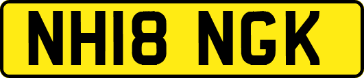 NH18NGK