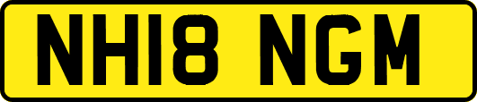 NH18NGM