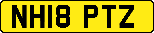 NH18PTZ