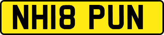 NH18PUN
