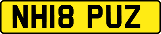 NH18PUZ