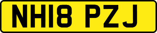 NH18PZJ