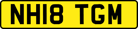 NH18TGM