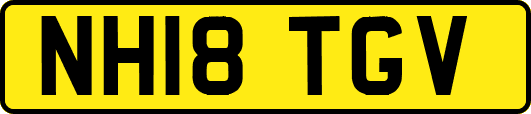NH18TGV