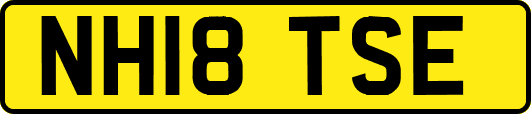 NH18TSE