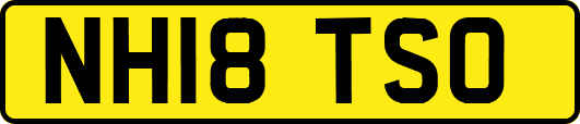 NH18TSO
