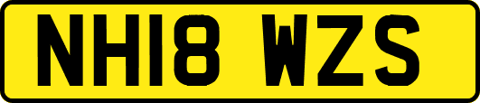 NH18WZS