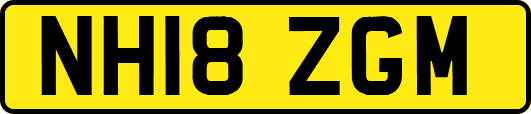 NH18ZGM