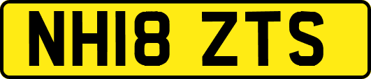 NH18ZTS